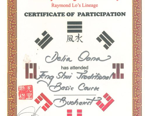 Diploma Feng Shui Delia Oana 3